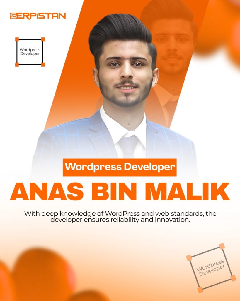 Wordpress Developer Anas Bin Malik